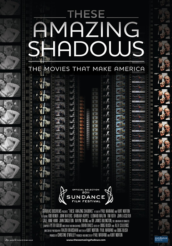 These Amazing Shadows - The Movies that Make America